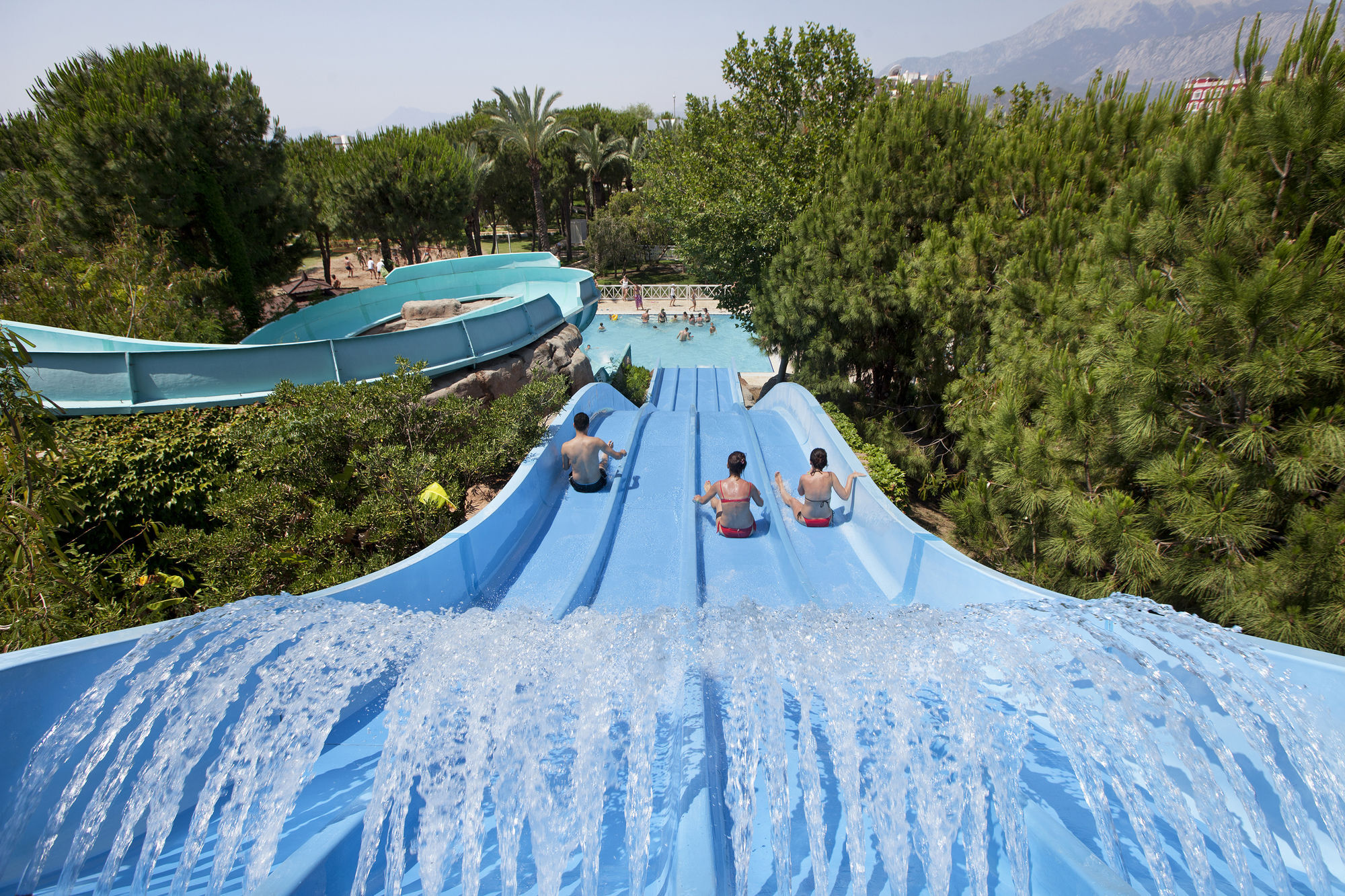 Отель Swandor & -